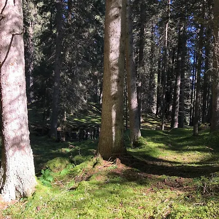Bergpanorama Fuer 12 Gaeste, 6 Schlafzimmer